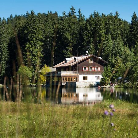 Apartmán Haus Schreieck Klaudia Höfen Exteriér fotografie