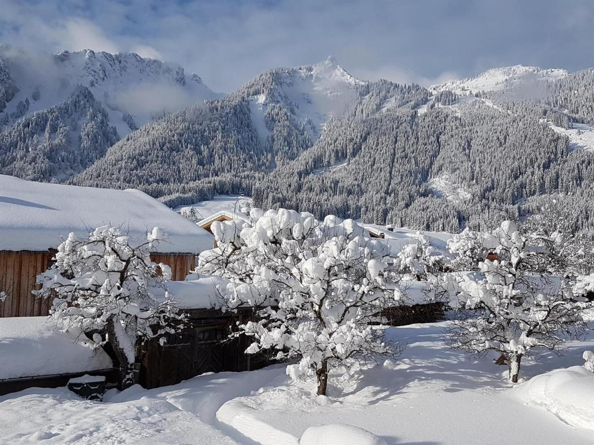 Apartmán Haus Schreieck Klaudia Höfen Exteriér fotografie