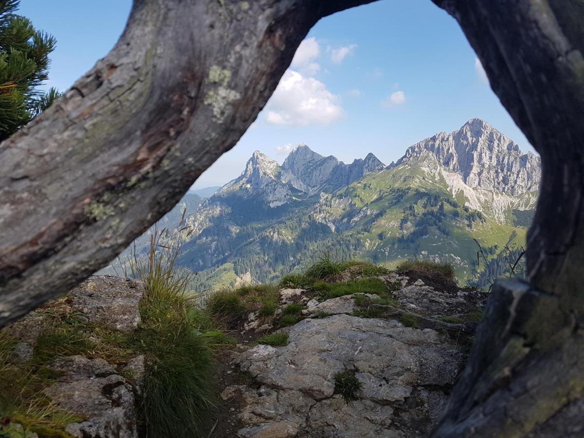 Apartmán Haus Schreieck Klaudia Höfen Exteriér fotografie